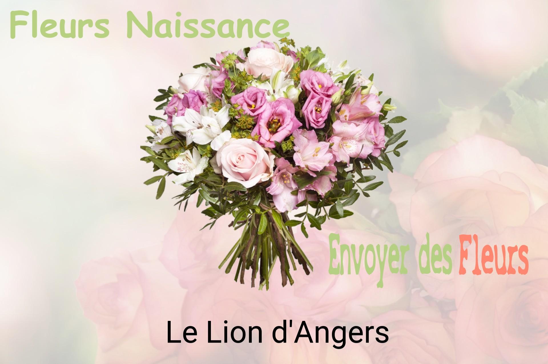 Bouquet de fleurs de naissance livré à Le Lion-d'Angers