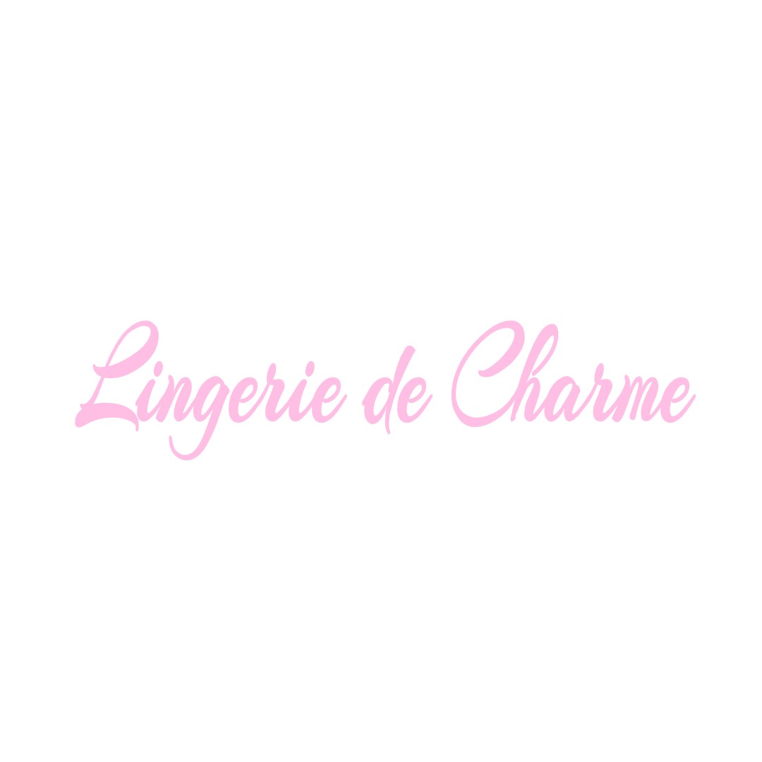 LINGERIE DE CHARME LE-LION-D-ANGERS